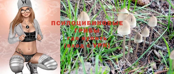 не бодяженный Волоколамск